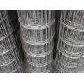 Welded Wire Mesh Fence in Construction